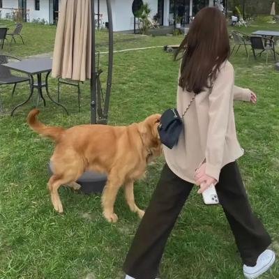 2025重阳奇妙游